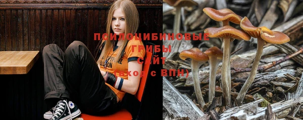 ECSTASY Абинск